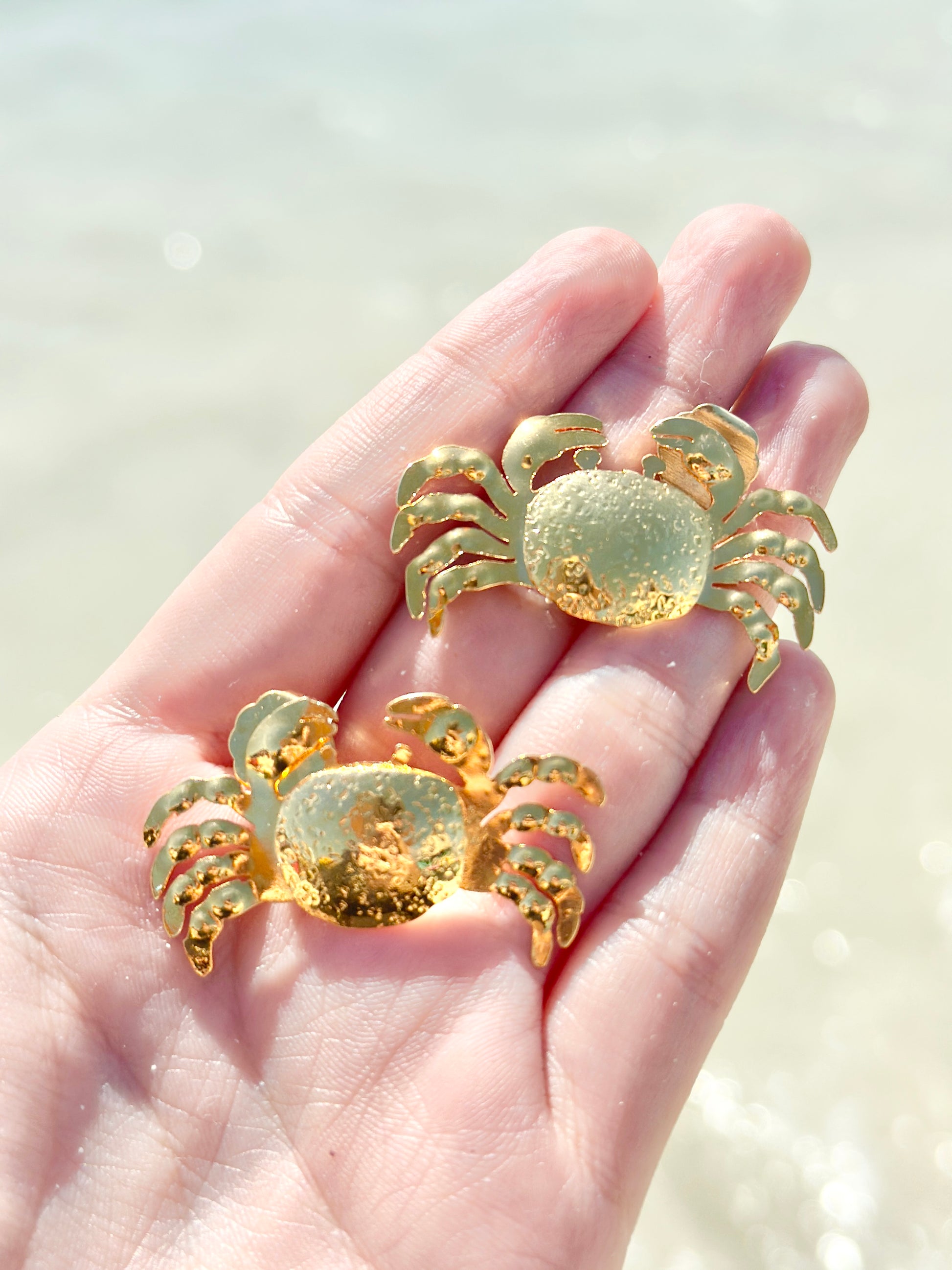Aretes kangrejo image 4