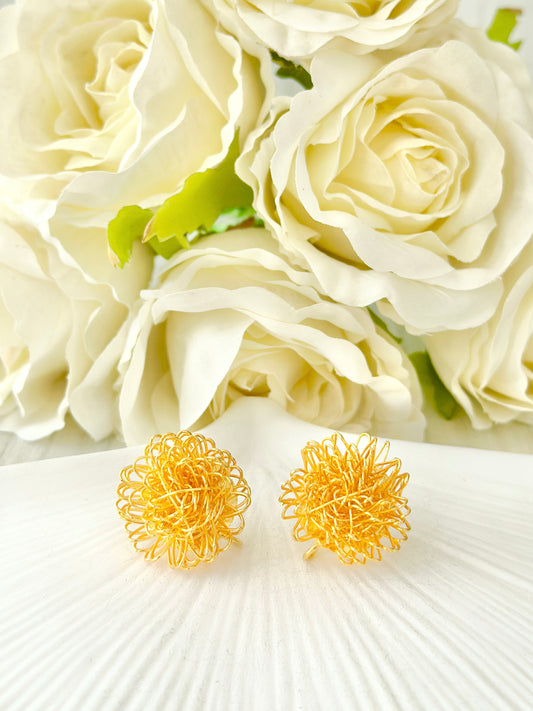 Aretes Sei  image 0