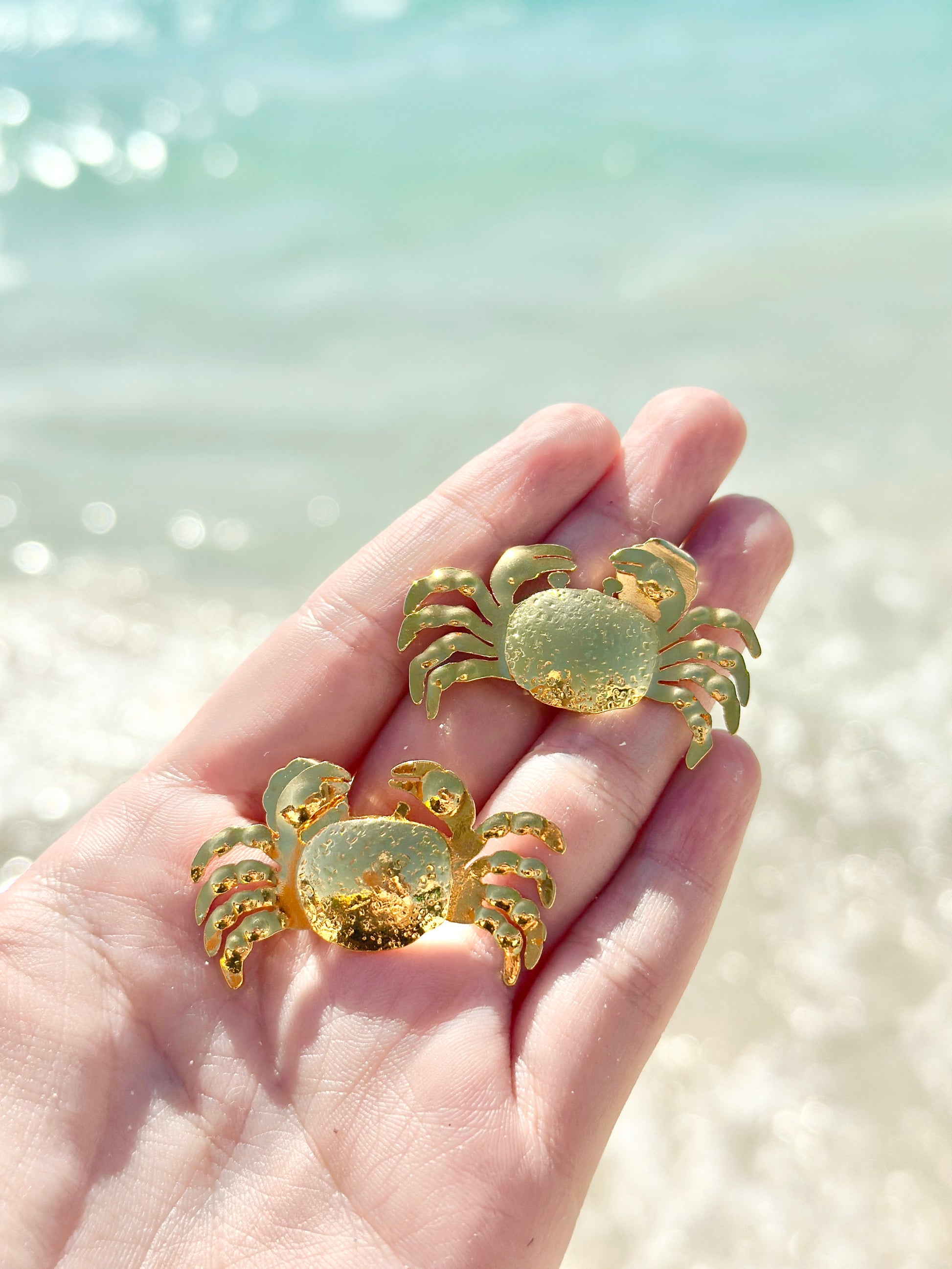 Aretes kangrejo image 2